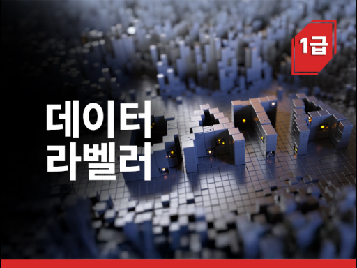 데이터라벨러 1급